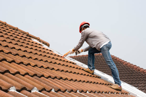 Best Solar Panel Roofing Installation  in University At Buffalo, NY